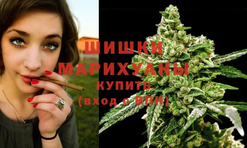 Конопля SATIVA & INDICA  закладка  Лермонтов 